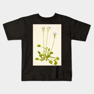 Venus flytrap - Botanical Illustration Kids T-Shirt